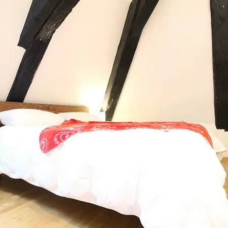 Historic Center - Cosy Studio Petit Cathedrale 1 - Bookingalsace * كولمار