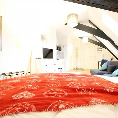 Historic Center - Cosy Studio Petit Cathedrale 1 - Bookingalsace * كولمار