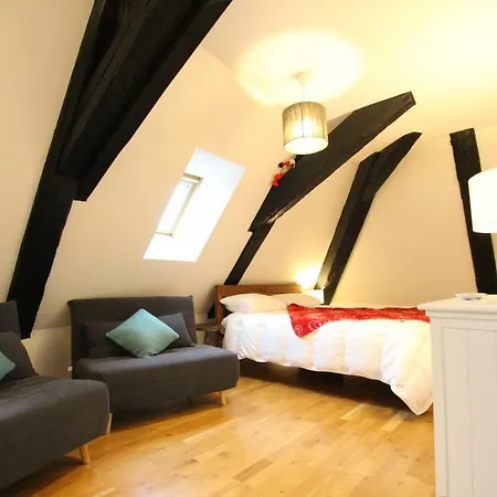 شقة Historic Center - Cosy Studio Petit Cathedrale 1 - Bookingalsace
