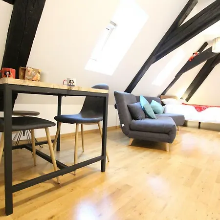 شقة Historic Center - Cosy Studio Petit Cathedrale 1 - Bookingalsace كولمار