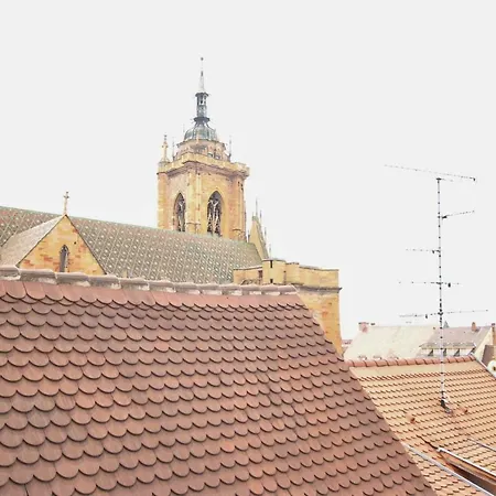 Historic Center - Cosy Studio Petit Cathedrale 1 - Bookingalsace