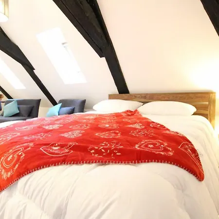 Historic Center - Cosy Studio Petit Cathedrale 1 - Bookingalsace * كولمار