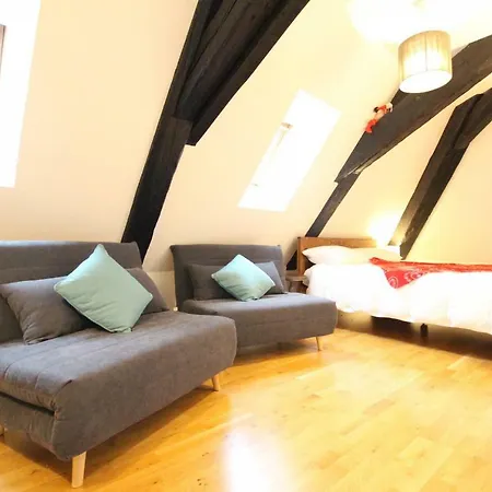 شقة Historic Center - Cosy Studio Petit Cathedrale 1 - Bookingalsace